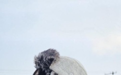 免费日韩无人区码卡二卡3卡